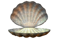 shellfish deco - GIF animado gratis