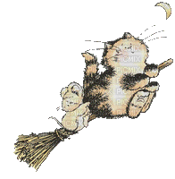 Chat souris balai - Nemokamas animacinis gif