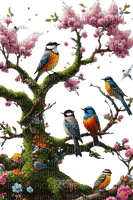loly33 oiseaux arbre printemps - ücretsiz png