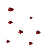 rosa red - 無料のアニメーション GIF