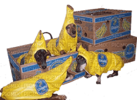 Kaz_Creations Dogs Pups Costume - PNG gratuit