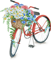 bicycle - besplatni png