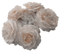 apricot-flowers - 免费PNG