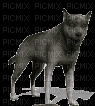 wolf 2 NitsaPap - 無料のアニメーション GIF