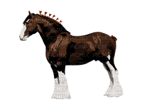 cheval - 無料png