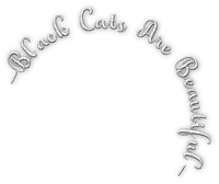 soave text black cats cat are beautiful white - png gratuito