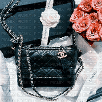 Coco Chanel milla1959 - Gratis geanimeerde GIF