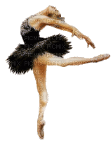 Ballet - Ücretsiz animasyonlu GIF