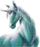 Unicorns - nemokama png
