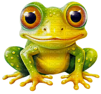grenouille - Free PNG