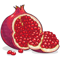pomegranate Bb2 - Free PNG