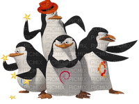 Pinguin 🐧 - darmowe png
