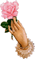 rose offerte - Zdarma animovaný GIF