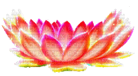 Lotus - Darmowy animowany GIF