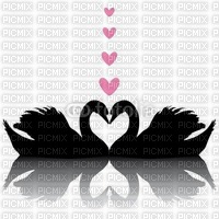 ROXY SWANS LOVE - bezmaksas png