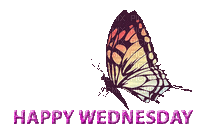 Happy wednesday - 無料のアニメーション GIF