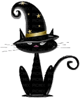 chat magicien - Animovaný GIF zadarmo