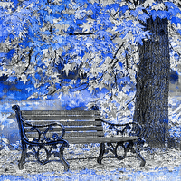 soave background animated autumn park - Bezmaksas animēts GIF