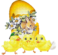 пасха заяц, яйца, Карина - Ilmainen animoitu GIF