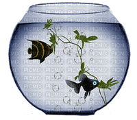 aquarium poisson. - GIF animasi gratis