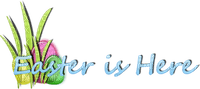 Kaz_Creations Text Easter is Here - gratis png