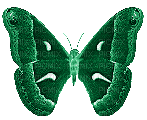 Butterfly, Butterflies, Insect, Insects, Deco, Green, GIF - Jitter.Bug.Girl - Gratis animerad GIF