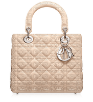 Kaz_Creations Dior-Bag - PNG gratuit
