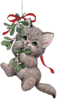cat,chat, chatte - 免费PNG