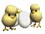 EASTER BIRDS EGGS DECO GIF - Безплатен анимиран GIF