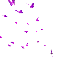 Бабочка - Ücretsiz animasyonlu GIF