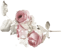 Winter roses - 免费PNG