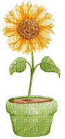 kikkapink sunflower vase - png ฟรี