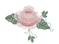 fiori - 免费动画 GIF