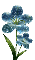 Flores - 無料のアニメーション GIF