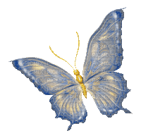 ♡§m3§♡ kawaii blue butterfly gif animated - Бесплатный анимированный гифка