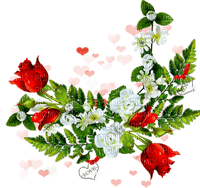 All my lovely flowers - png grátis