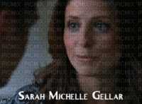 Sarah Michelle Gellar - Free animated GIF