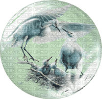crane birds bp - besplatni png