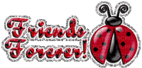 lady bug friends forever - GIF animé gratuit