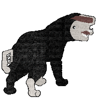Petz Creepy Animal - Bezmaksas animēts GIF