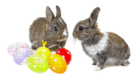 Easter.Lapin.Rabbit.Pâques.Victoriabea