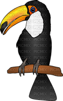 tucan - δωρεάν png