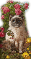 Rena Cat Katze Roses - gratis png