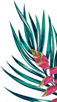 loly33 tropical - 無料png