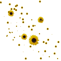 tournesol SUNflowers deco - Free PNG
