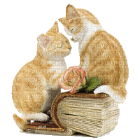 cats book - Animovaný GIF zadarmo