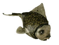 surreal fish - Free PNG