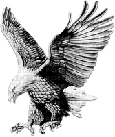 soave deco bird indian eagle black white - Free PNG