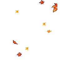 leaves laub feuilles - Bezmaksas animēts GIF