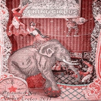 circus animated pink background - GIF animé gratuit